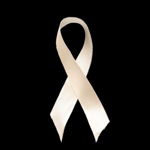 Photo: Stephanie Amesse