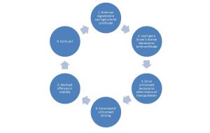 Circule of problems caused by lack of birth registration documents