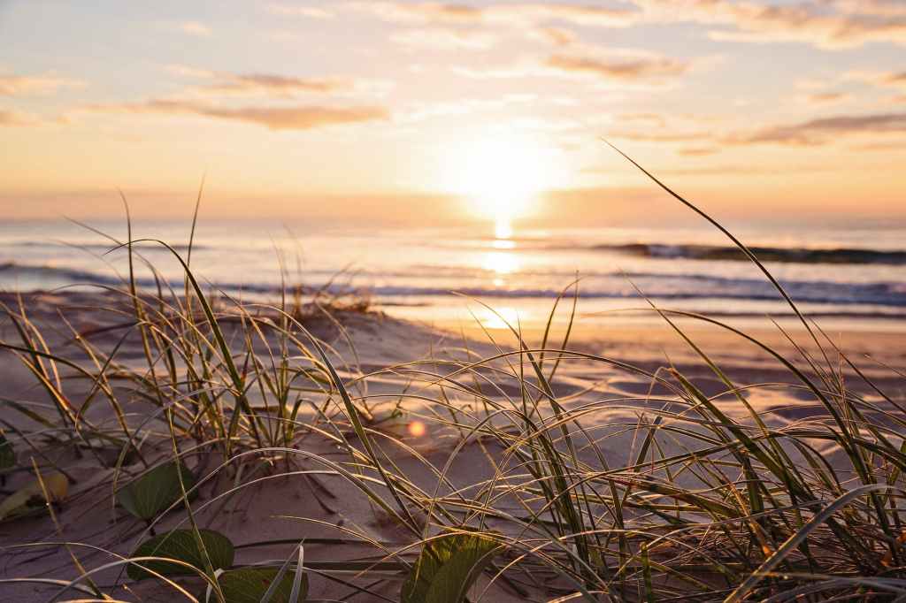 Our chance to vote for unity,&nbsp;justice